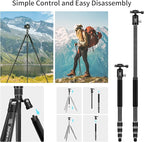 Carbon Fiber Camera Tripod, 1/4" Arca QR Plate, Compact Lightweight Travel - Image 6