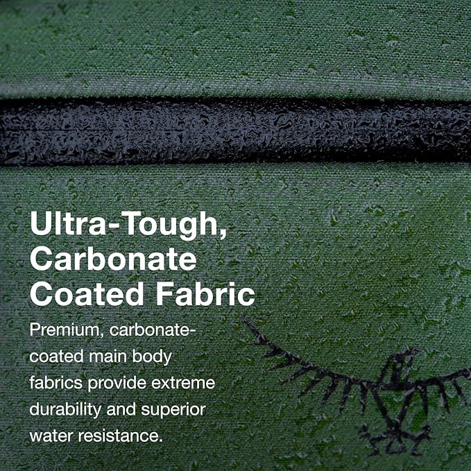 Osprey Archeon 40L Travel Pack, Scenic Valley - Image 4