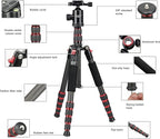 BONFOTO B690C Lightweight Carbon Fiber Portable Tripod Compact Travel Camera - Image 2