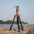Fotopro 60" Carbon Fiber Tripod, Compact Lightweight Travel Tripod - Image 2