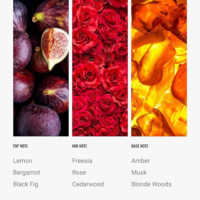 Hotel Collection Diffuser Oil - Black Velvet - Aromatherapy Essential Fragrance Oil - Blonde Woods, Rose, and Black Fig - 500ML 16.9 Fl oz