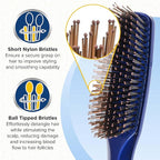 Giorgio Gentle Detangler Hair Brush - Dual Length Bristles for Men, Fine and Thick Hair, Scalp Massager, Travel Brush for Wet or Dry Hair