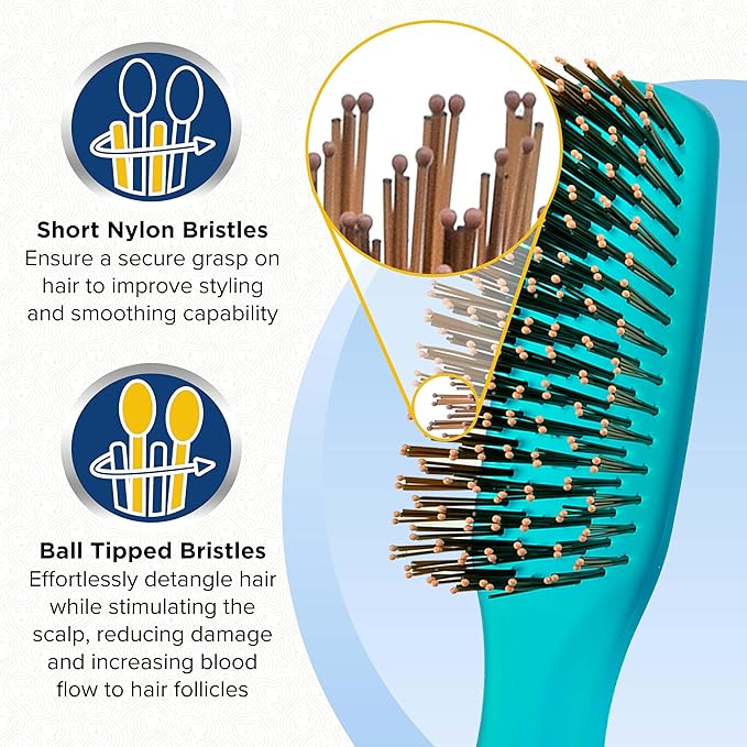 Giorgio GION2B Neon Blue 6.25 inch Gentle Touch Detangler Hair Brush for Men Women and Kids. Soft Bristles for Sensitive Scalp. Wet & Dry for all Hair Types. Scalp Massager Brush Stimulate Hair Growth