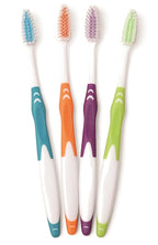 FRESHMINT Individually Wrapped Bulk Premium Toothbrushes, Oversized Easy Grip by Freshmint