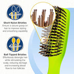 Giorgio GION2G Neon Green 6.25 inch Gentle Touch Detangler Hair Brush for Men Women & Kids. Soft Bristles for Sensitive Scalp. Wet & Dry for all Hair Types. Scalp Massager Brush Stimulate Hair Growth
