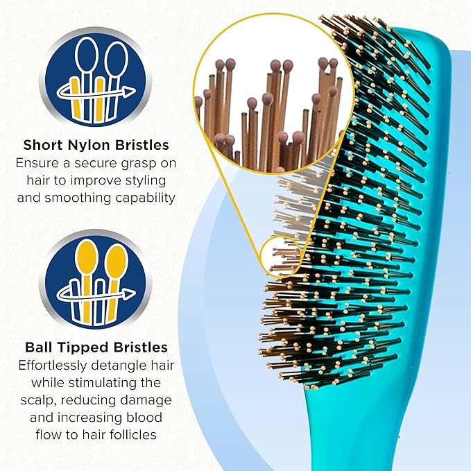 Giorgio GION1B Neon Blue 7.75 inch Gentle Touch Detangler Hair Brush for Men and Women. Soft Bristles for Sensitive Scalp. Wet and Dry for all Hair Types. Scalp Massager Brush Stimulate Hair Growth